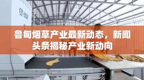 魯?shù)闊煵莓a(chǎn)業(yè)最新動態(tài)，新聞頭條揭秘產(chǎn)業(yè)新動向