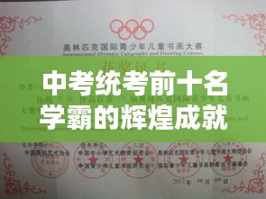 中考統(tǒng)考前十名學霸的輝煌成就，優(yōu)秀學子的榮耀之路