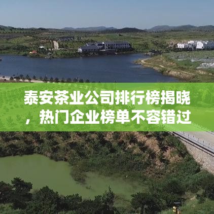 泰安茶業(yè)公司排行榜揭曉，熱門(mén)企業(yè)榜單不容錯(cuò)過(guò)！