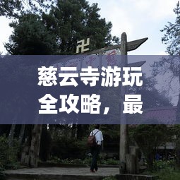 慈云寺游玩全攻略，最新路線一網(wǎng)打盡！