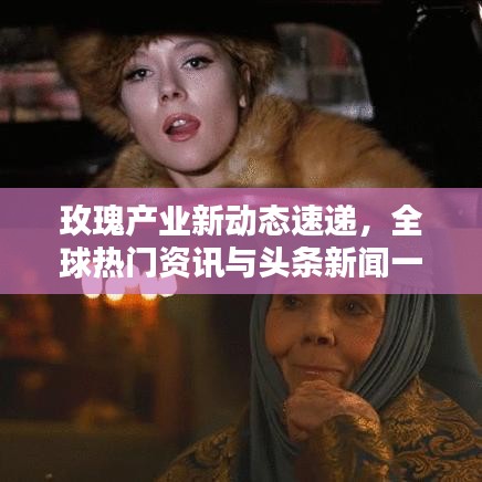 玫瑰產(chǎn)業(yè)新動態(tài)速遞，全球熱門資訊與頭條新聞一網(wǎng)打盡