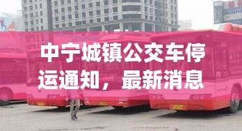 中寧城鎮(zhèn)公交車停運(yùn)通知，最新消息及影響分析