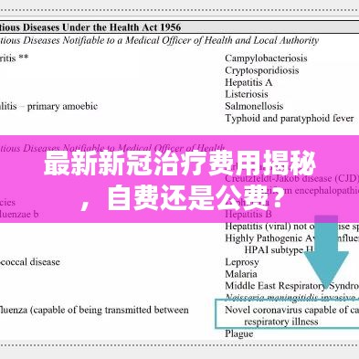 最新新冠治療費(fèi)用揭秘，自費(fèi)還是公費(fèi)？