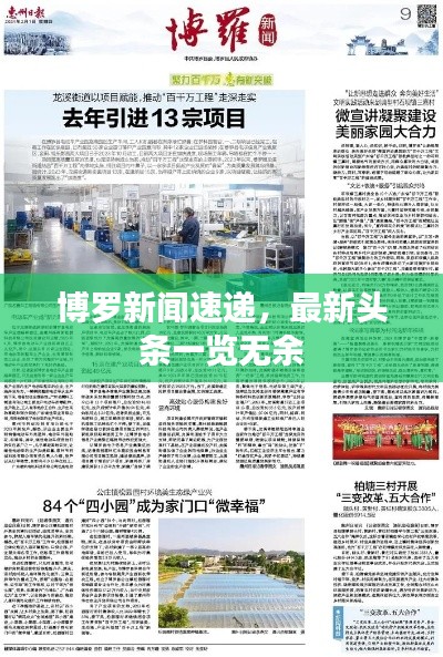 博羅新聞速遞，最新頭條一覽無余