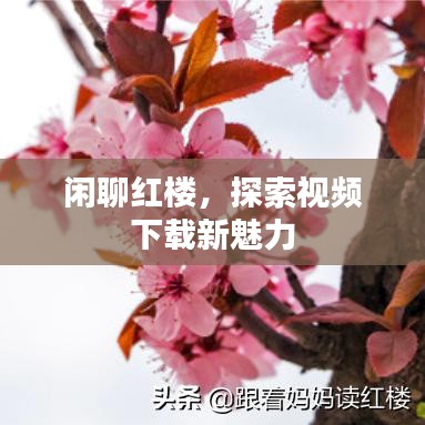 閑聊紅樓，探索視頻下載新魅力