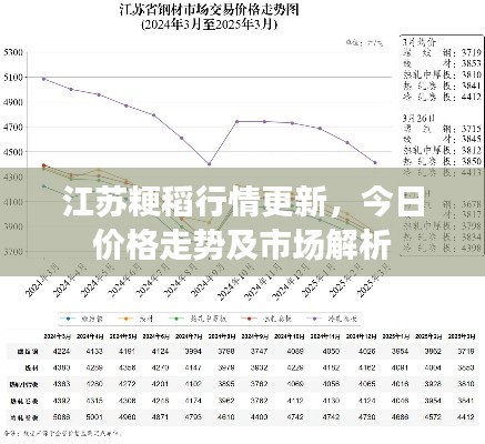 江蘇粳稻行情更新，今日價格走勢及市場解析