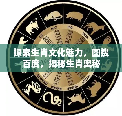 探索生肖文化魅力，圖搜百度，揭秘生肖奧秘