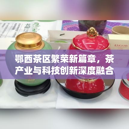 鄂西茶區(qū)繁榮新篇章，茶產(chǎn)業(yè)與科技創(chuàng)新深度融合引領(lǐng)發(fā)展之路