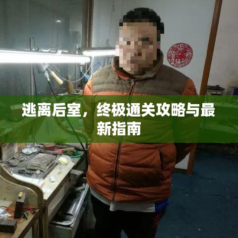 逃離后室，終極通關(guān)攻略與最新指南