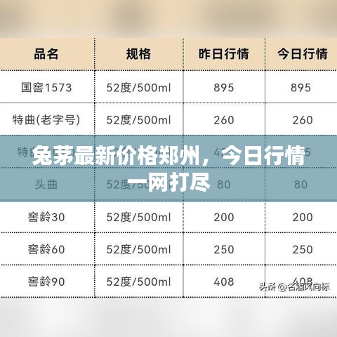 兔茅最新價(jià)格鄭州，今日行情一網(wǎng)打盡