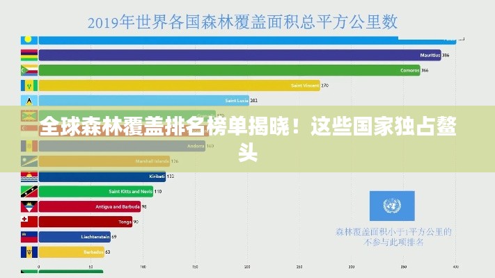 全球森林覆蓋排名榜單揭曉！這些國家獨占鰲頭