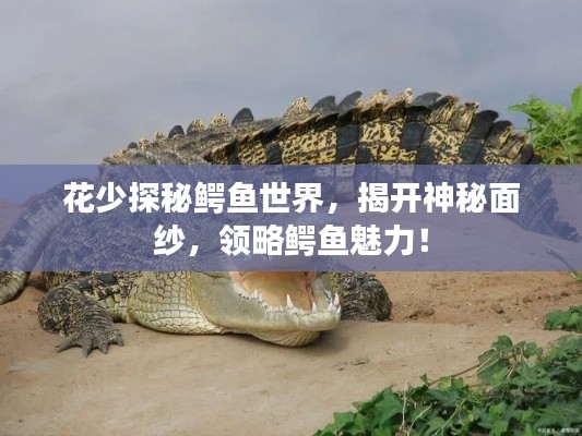 花少探秘鱷魚世界，揭開神秘面紗，領略鱷魚魅力！