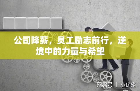 公司降薪，員工勵志前行，逆境中的力量與希望