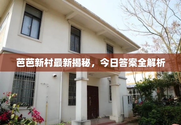 芭芭新村最新揭秘，今日答案全解析
