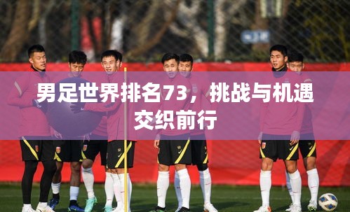 男足世界排名73，挑戰(zhàn)與機(jī)遇交織前行