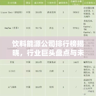 飲料能源公司排行榜揭曉，行業(yè)巨頭盤點(diǎn)與未來(lái)趨勢(shì)預(yù)測(cè)