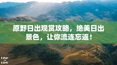 原野日出觀賞攻略，絕美日出景色，讓你流連忘返！