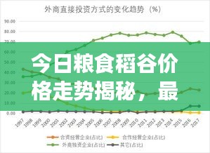 今日糧食稻谷價格走勢揭秘，最新市場趨勢與影響因素深度解析
