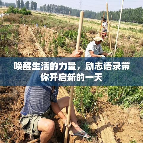 喚醒生活的力量，勵(lì)志語(yǔ)錄帶你開(kāi)啟新的一天