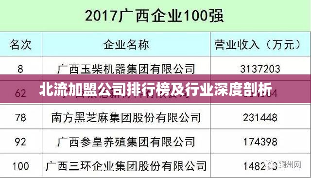 北流加盟公司排行榜及行業(yè)深度剖析
