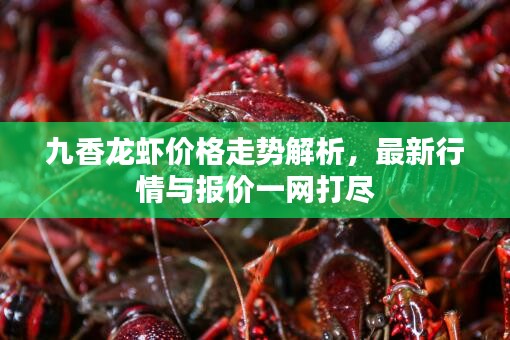 九香龍蝦價(jià)格走勢(shì)解析，最新行情與報(bào)價(jià)一網(wǎng)打盡