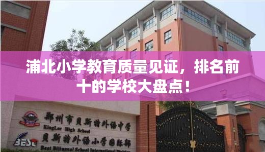 浦北小學教育質量見證，排名前十的學校大盤點！