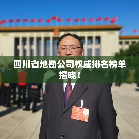 四川省地勘公司權(quán)威排名榜單揭曉！