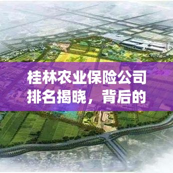桂林農(nóng)業(yè)保險(xiǎn)公司排名揭曉，背后的故事引人關(guān)注