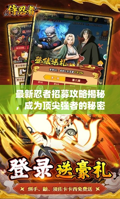 最新忍者招募攻略揭秘，成為頂尖強者的秘密之路！