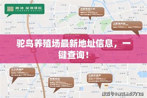 駝鳥養(yǎng)殖場最新地址信息，一鍵查詢！