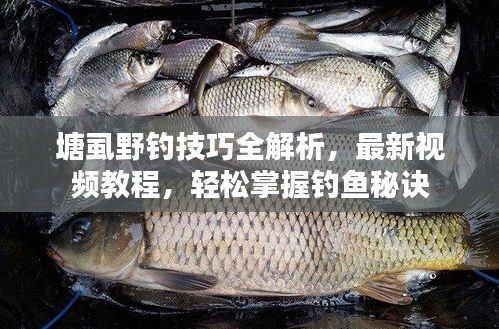 塘虱野釣技巧全解析，最新視頻教程，輕松掌握釣魚秘訣