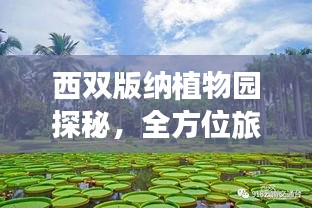 西雙版納植物園探秘，全方位旅游攻略