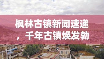 楓林古鎮(zhèn)新聞速遞，千年古鎮(zhèn)煥發(fā)勃勃生機(jī)