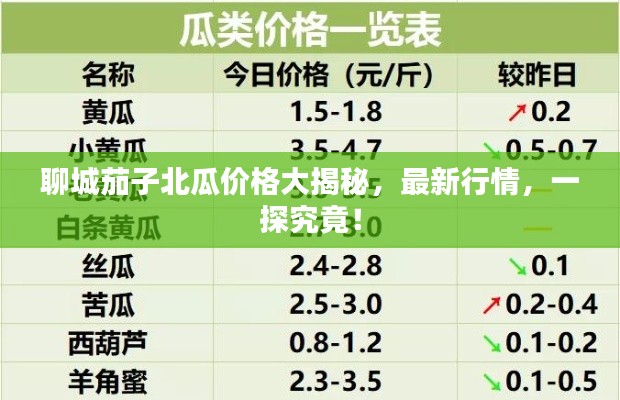 聊城茄子北瓜價格大揭秘，最新行情，一探究竟！