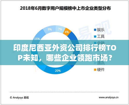 印度尼西亞外資公司排行榜TOP未知，哪些企業(yè)領(lǐng)跑市場(chǎng)？