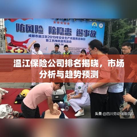 溫江保險(xiǎn)公司排名揭曉，市場(chǎng)分析與趨勢(shì)預(yù)測(cè)