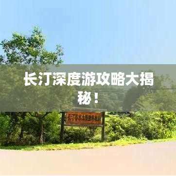 一絲不茍 第2頁(yè)