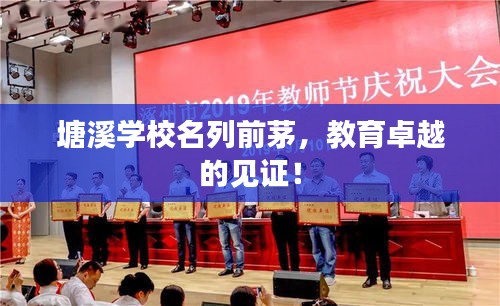 塘溪學(xué)校名列前茅，教育卓越的見(jiàn)證！