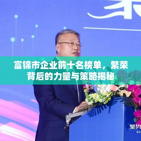 富錦市企業(yè)前十名榜單，繁榮背后的力量與策略揭秘