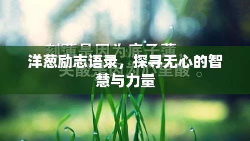 洋蔥勵志語錄，探尋無心的智慧與力量