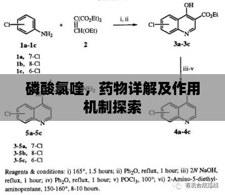 磷酸氯喹，藥物詳解及作用機制探索