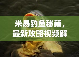 米易釣魚秘籍，最新攻略視頻解析，讓你輕松釣上大魚！