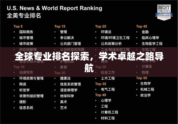 全球?qū)I(yè)排名探索，學(xué)術(shù)卓越之路導(dǎo)航
