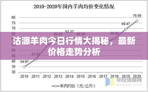 沽源羊肉今日行情大揭秘，最新價(jià)格走勢(shì)分析