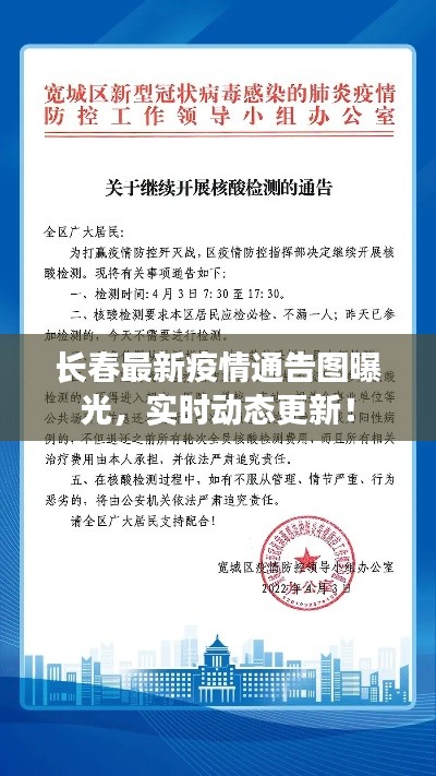 長春最新疫情通告圖曝光，實時動態(tài)更新！
