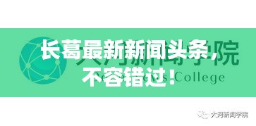 長(zhǎng)葛最新新聞?lì)^條，不容錯(cuò)過！