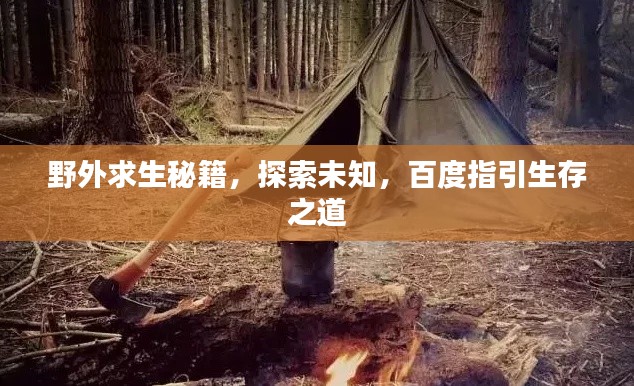 野外求生秘籍，探索未知，百度指引生存之道