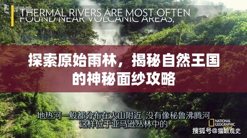 探索原始雨林，揭秘自然王國的神秘面紗攻略