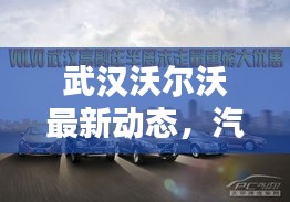 武漢沃爾沃最新動態(tài)，汽車巨頭新動作引關(guān)注