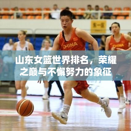 山東女籃世界排名，榮耀之巔與不懈努力的象征